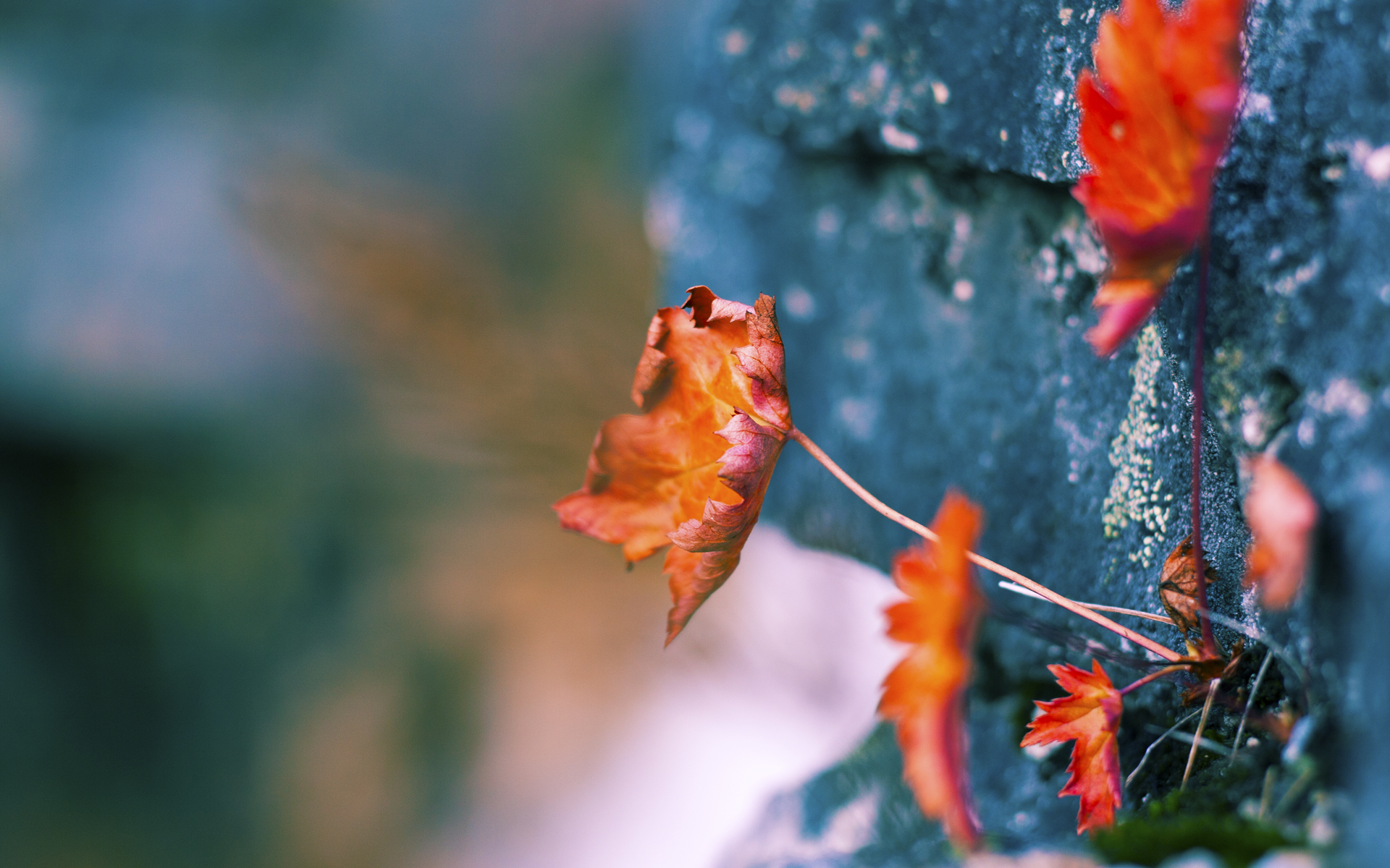 _巨型立体画：用空间艺术展示运动激情_，超级立体的画