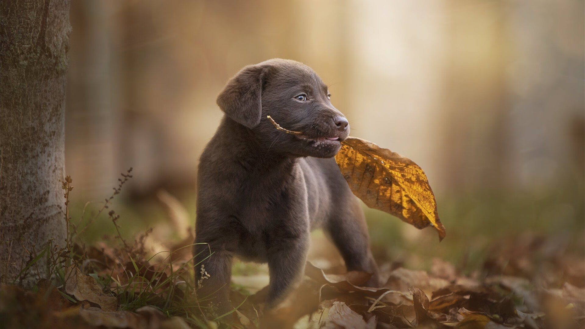 九游体育登录入口-_极限徒步穿越沙漠：坚韧与勇气的考验_，在徒步穿越沙漠的时候需要注意哪些事项呢