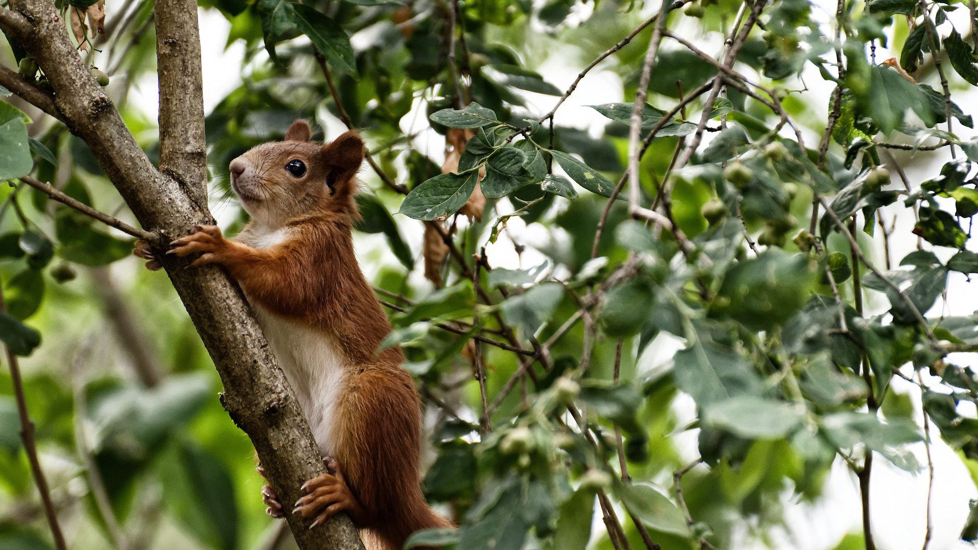 九游体育网页入口-中国青少年篮球精英赛在多地举办，锻炼未来行业骨干，2021全国青少年篮球邀请赛
