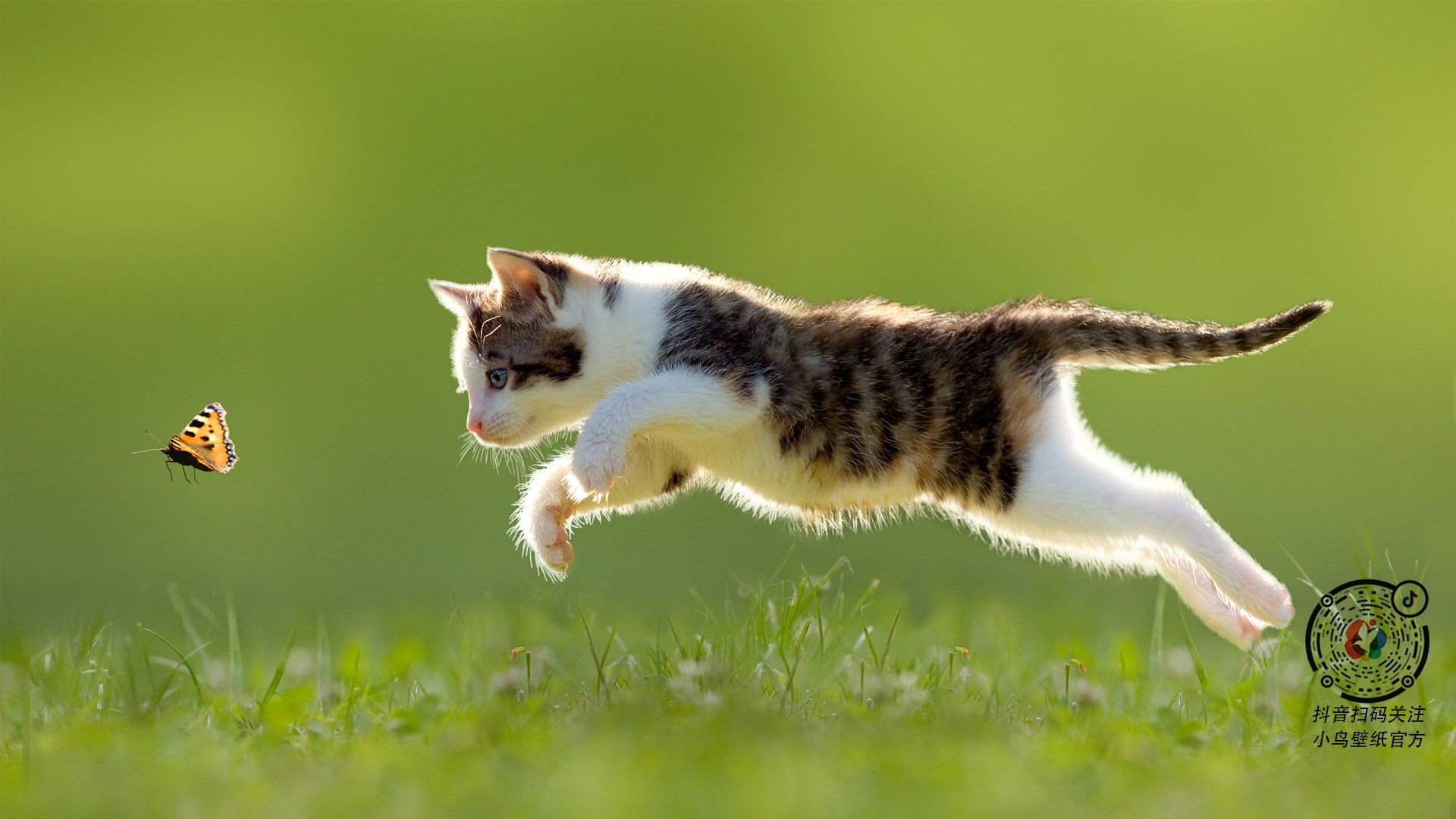 史上最“爆炸”灌篮合集，哪个你觉得最炸？，灌篮 nba